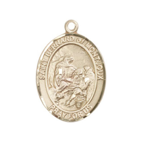 St. Bernard of Montjoux Medium Pendant