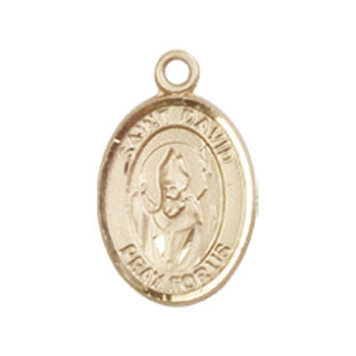 St. David of Wales Small Pendant