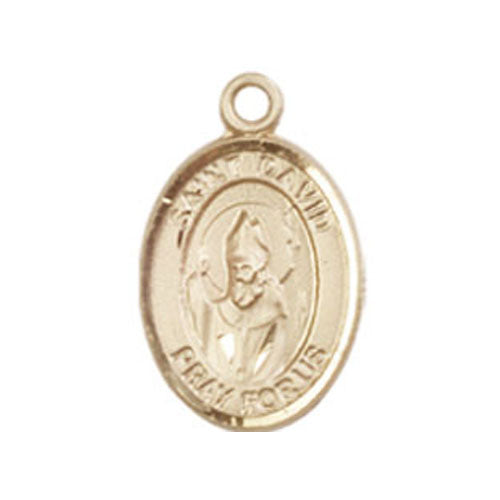 St. David of Wales Small Pendant