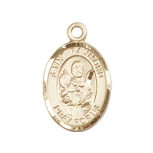St. Raymond Nonnatus Small Pendant