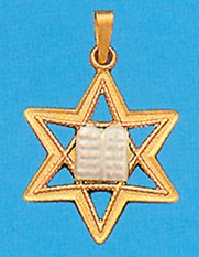 Star of David with the Ten Commandments in 14K Gold