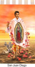 Banners - Apparitions of the Blessed Mother